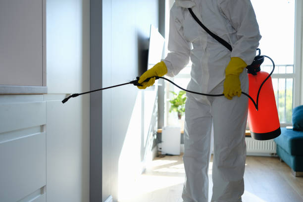 Best Biohazard Mold Removal  in Mount Vernon, IA