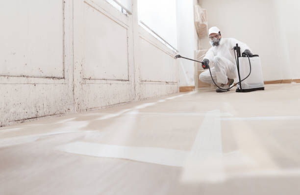 Best Industrial Mold Remediation  in Mount Vernon, IA